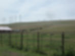 Trail Riding