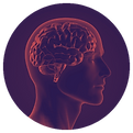 crazy-monkey-defense-brain-safe.png