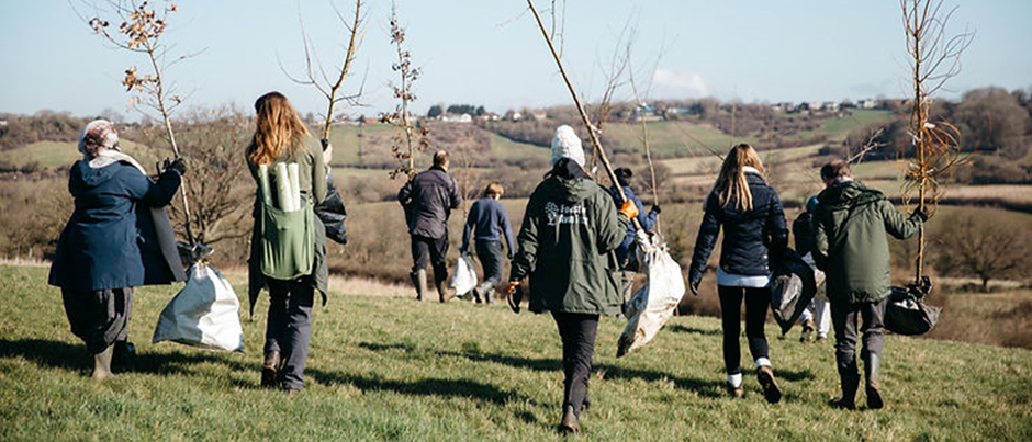 In Detail, In Brief: Going further to improve our environment