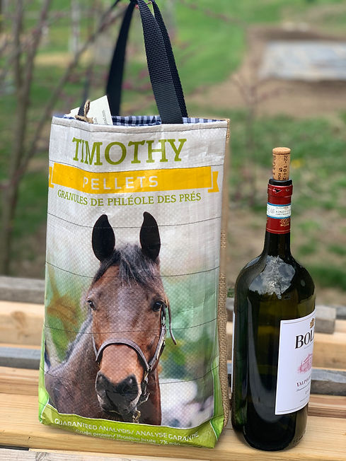 Horse wine carrier.jpg