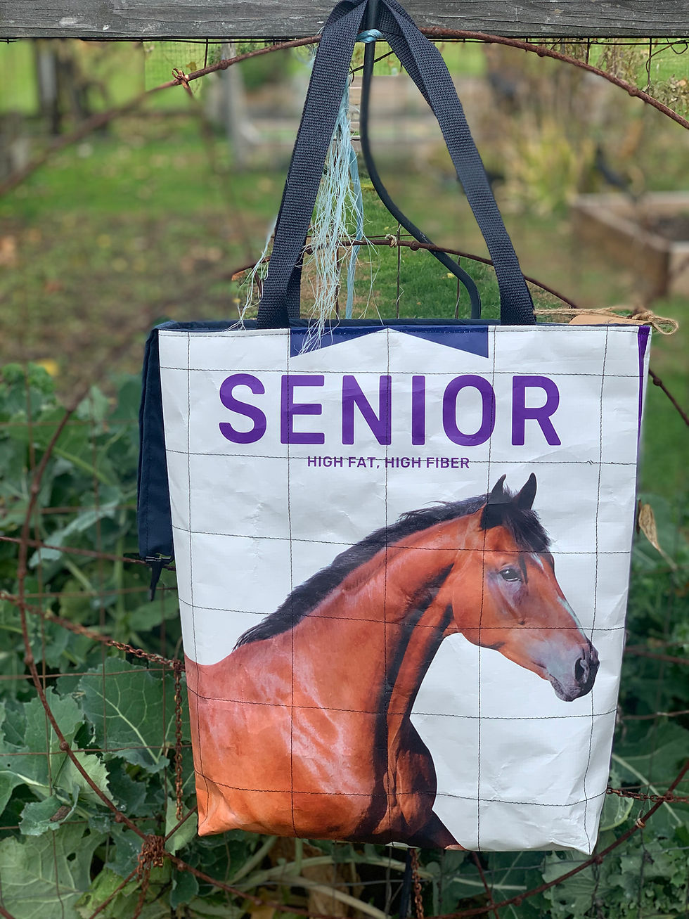 Lined Horse Totes & Handbags