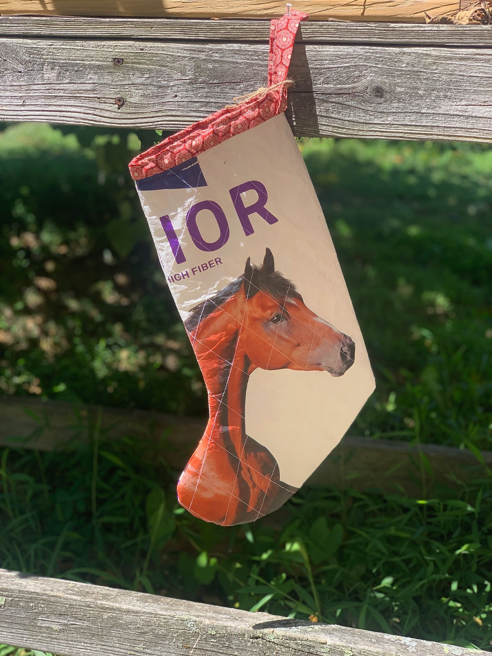 Thumbnail: Feedbag Holiday  Stockings