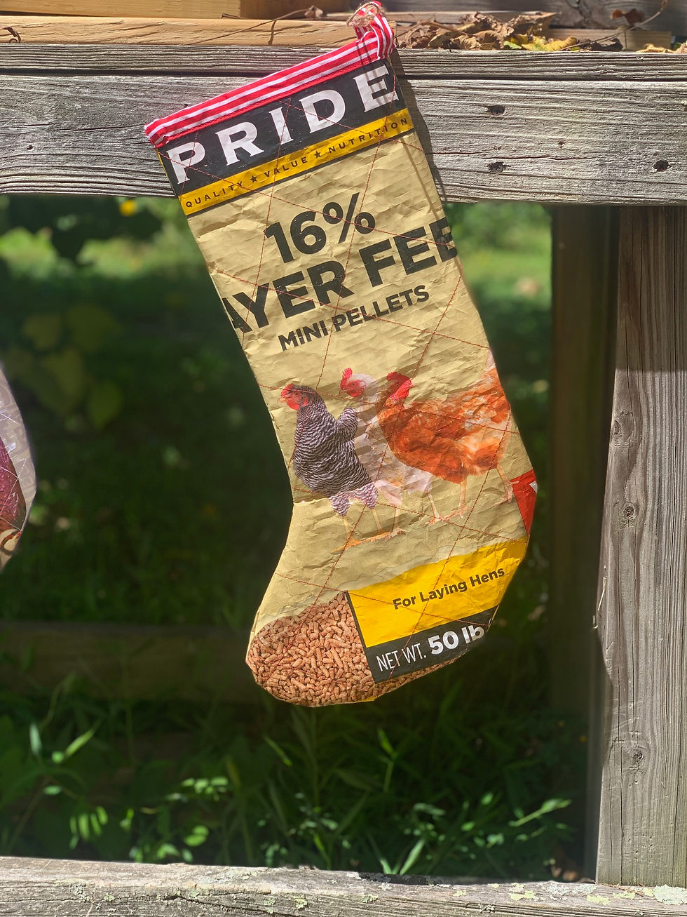 Thumbnail: Feedbag Holiday  Stockings