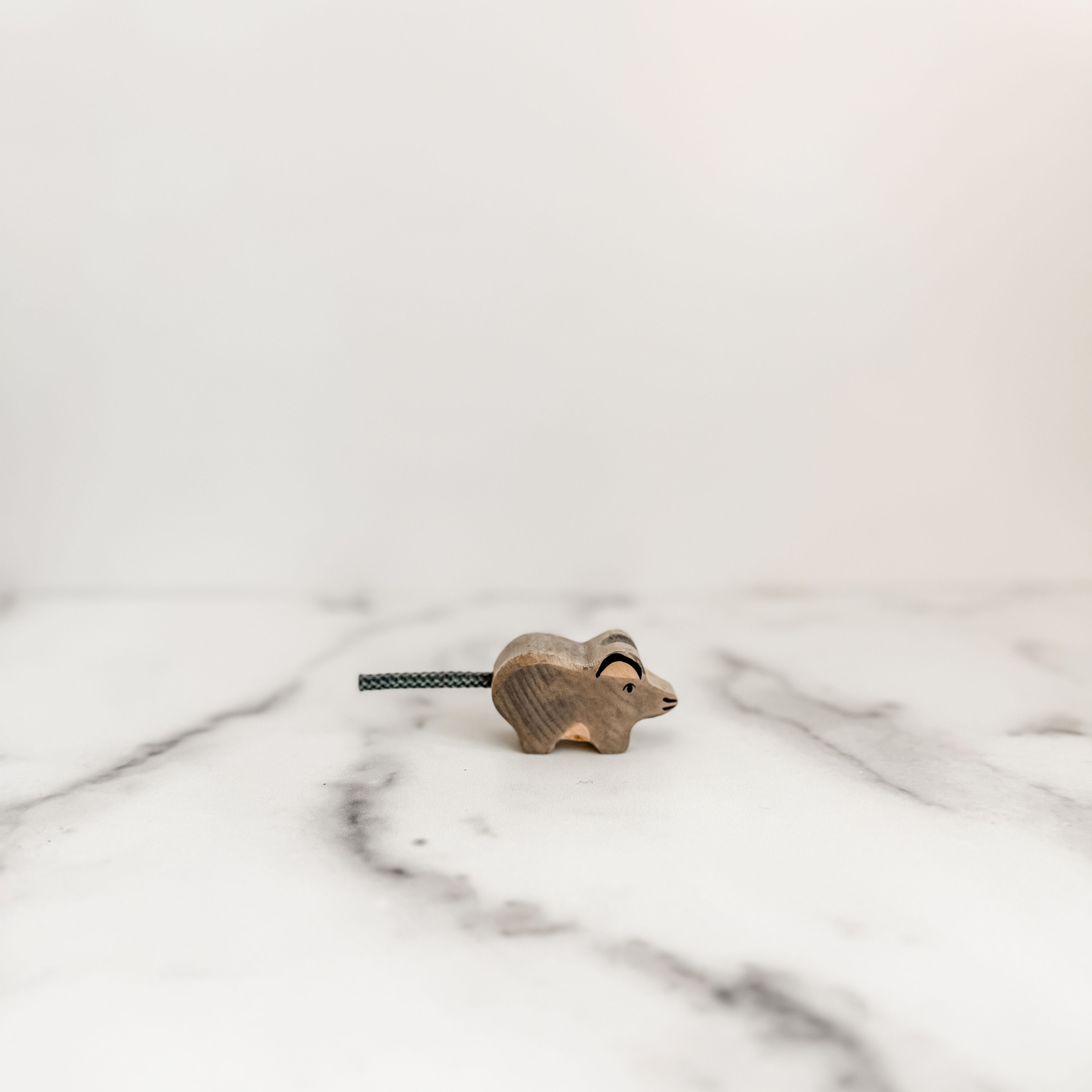 Wooden Mouse
