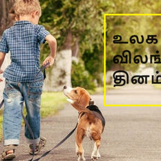 உலக விலங்குகள் தினம் 2023: அனைத்து உயிரினங்களுக்காக்கவும் கொண்டாடுகிறோம்