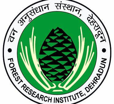 FRI Recruitment 2023 for 72 Forest Guard, MTS, Driver & more Vacancy | 10th Pass Govt Jobs