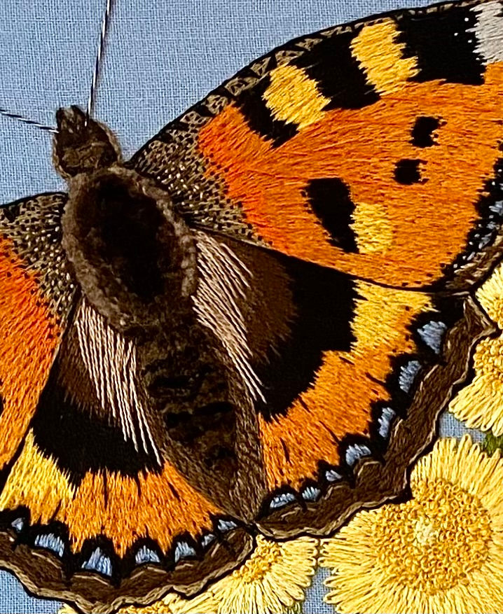 Thumbnail: Tortoiseshell Butterfly