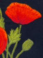 Thumbnail: Poppy: Study I