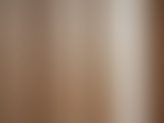 A Guide to Affordable WPC Doors and Their Prices in India