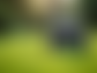 The Benefits of Push Mowing for Lawn Health in The Villages, FL