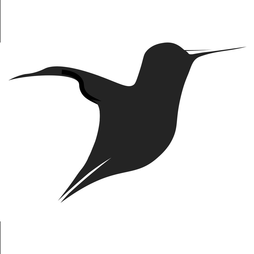 Bird Collection (2:4)