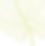 VEGETAL_BLANC.png