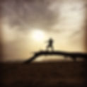 IMG_8372.jpeg