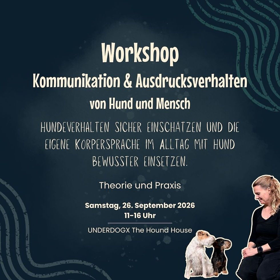 Kommunikation & Ausdrucksverhalten