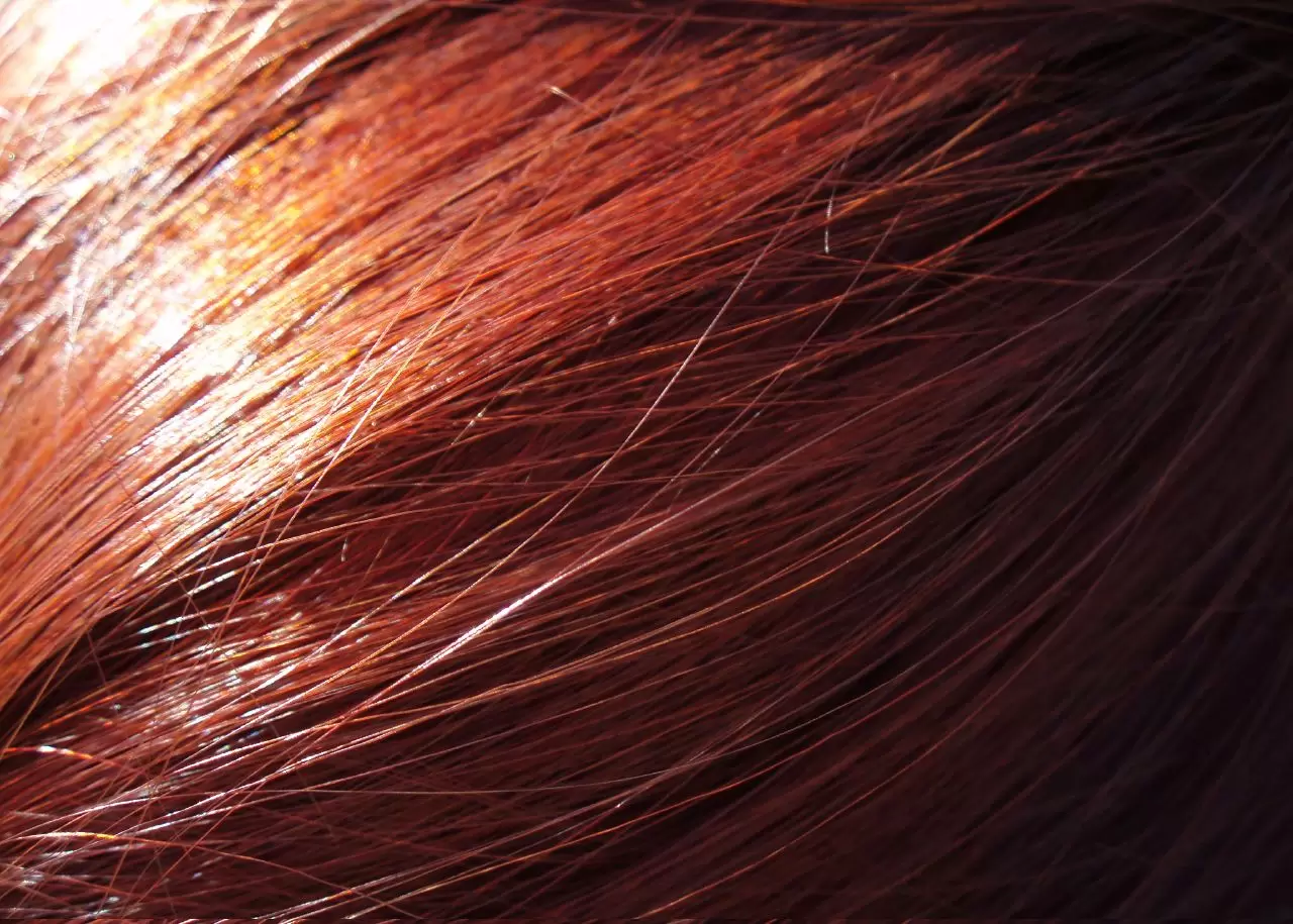 hair_texture1654.webp