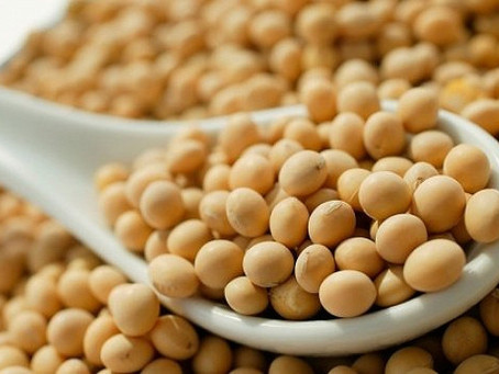Минсельхоз поддержал допуск ГМО продукции в Россию