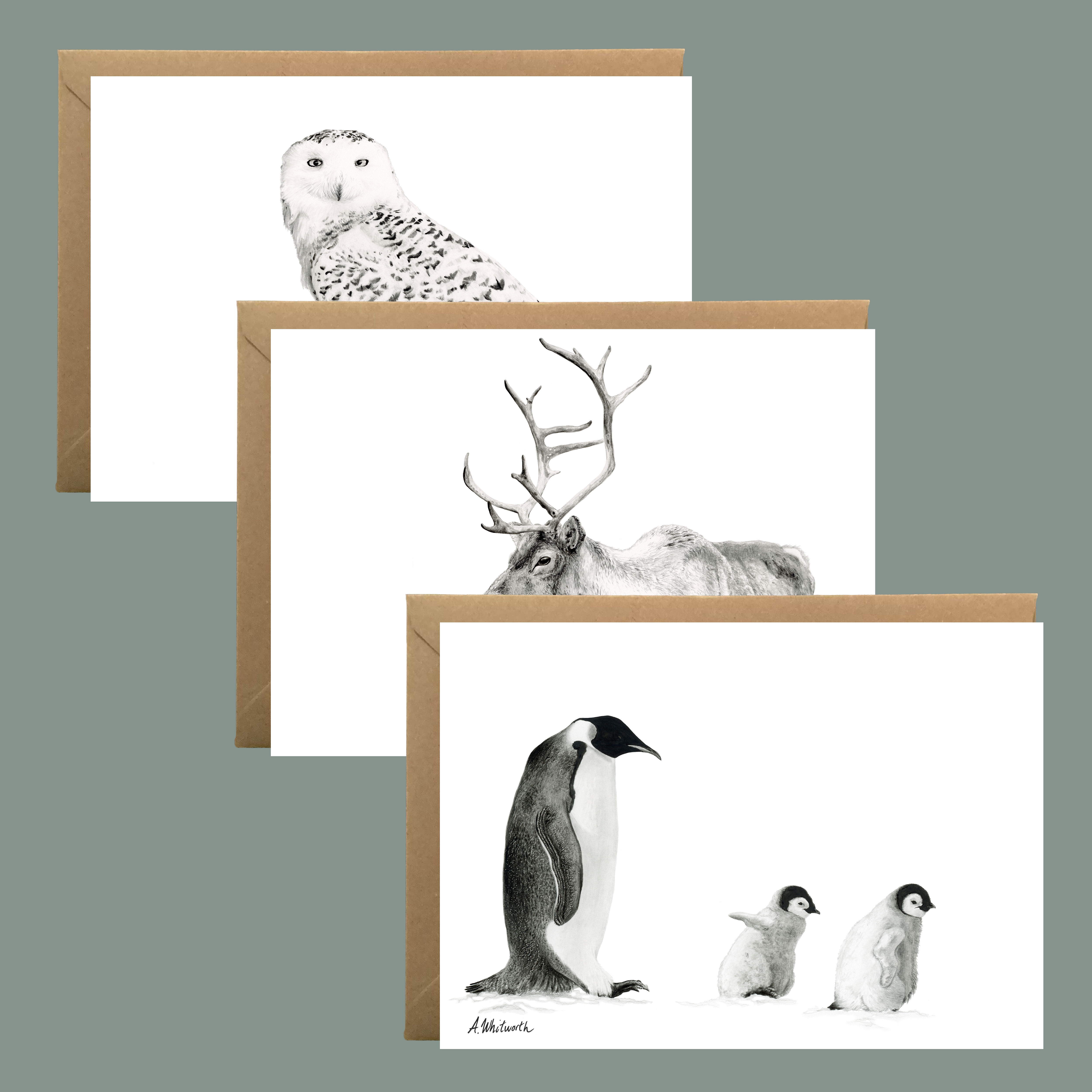 Winter Wildlife Set of 3 Greeting Cards