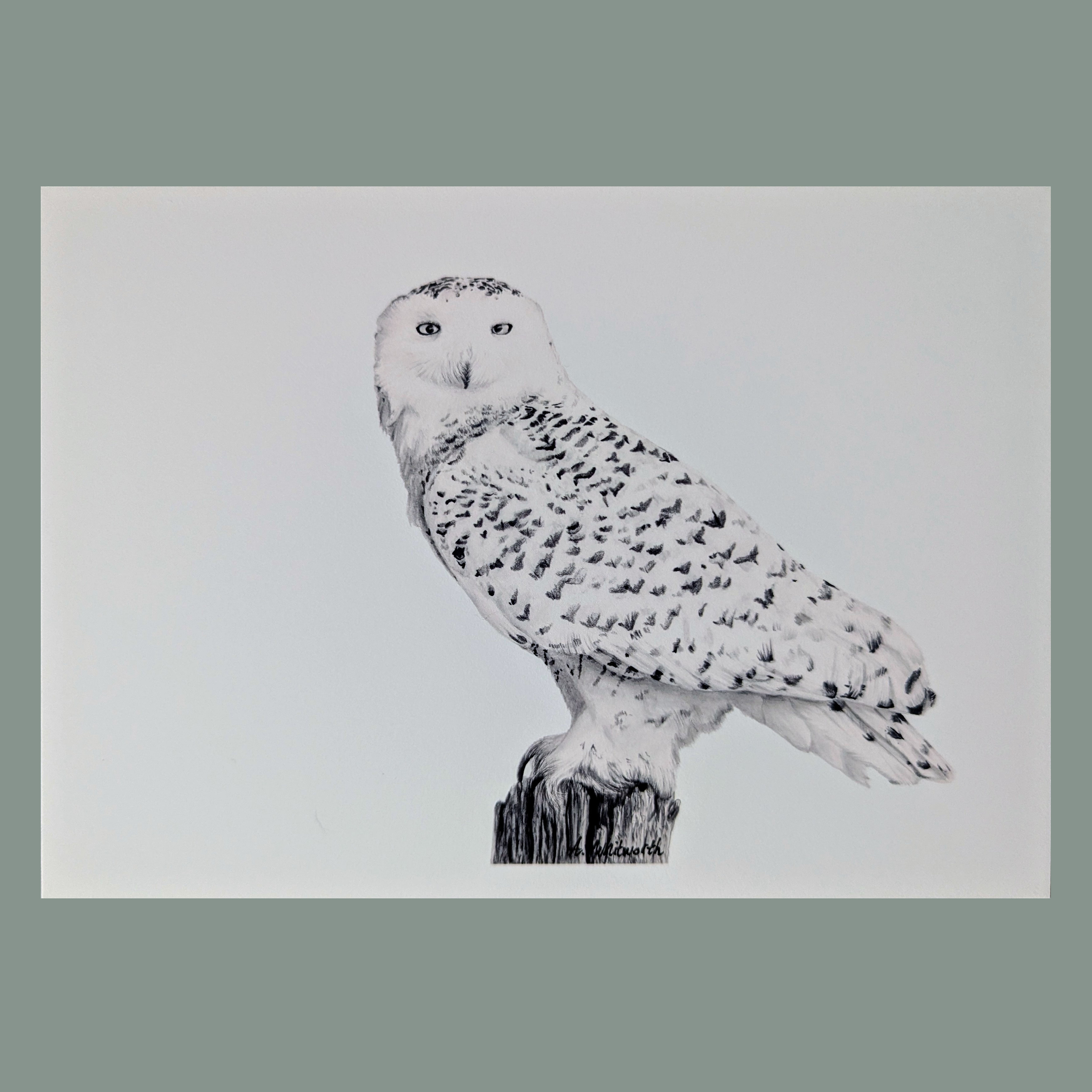 Winter Wisdom Fine Art Print