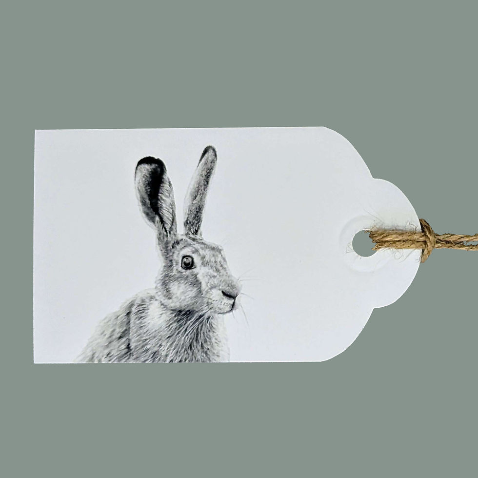 Thumbnail: Spring Wildlife Set of 3 Gift Tags