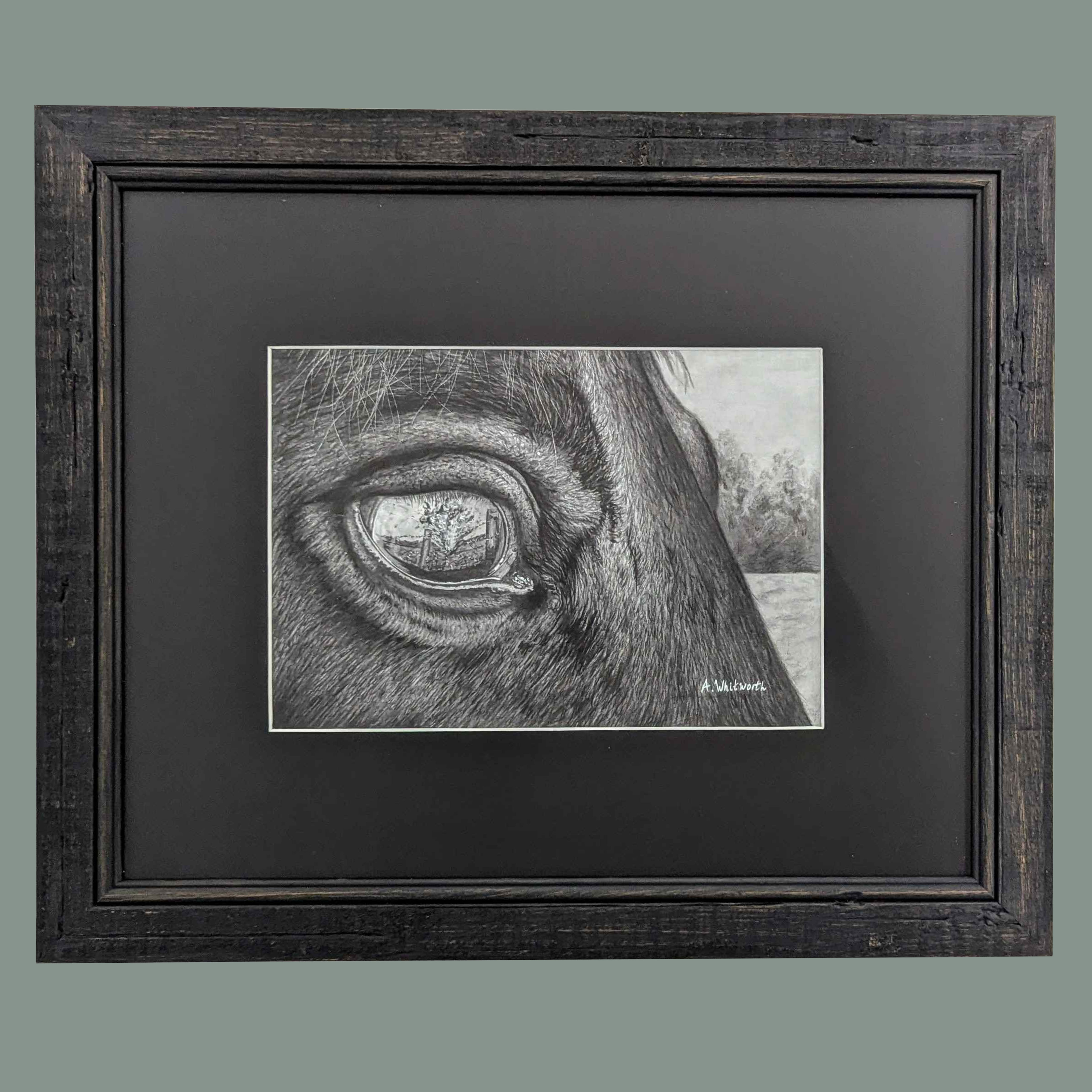 Original War Horse Graphite Drawing
