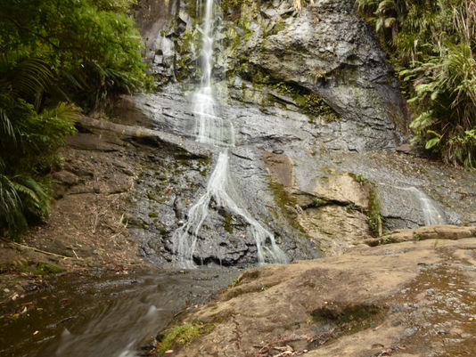 In Search of The Fairies