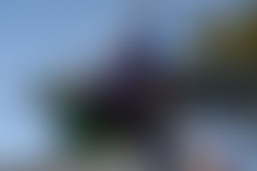 Who Let the Kids Out?