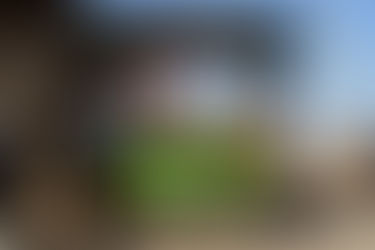 An Under Water Adventure