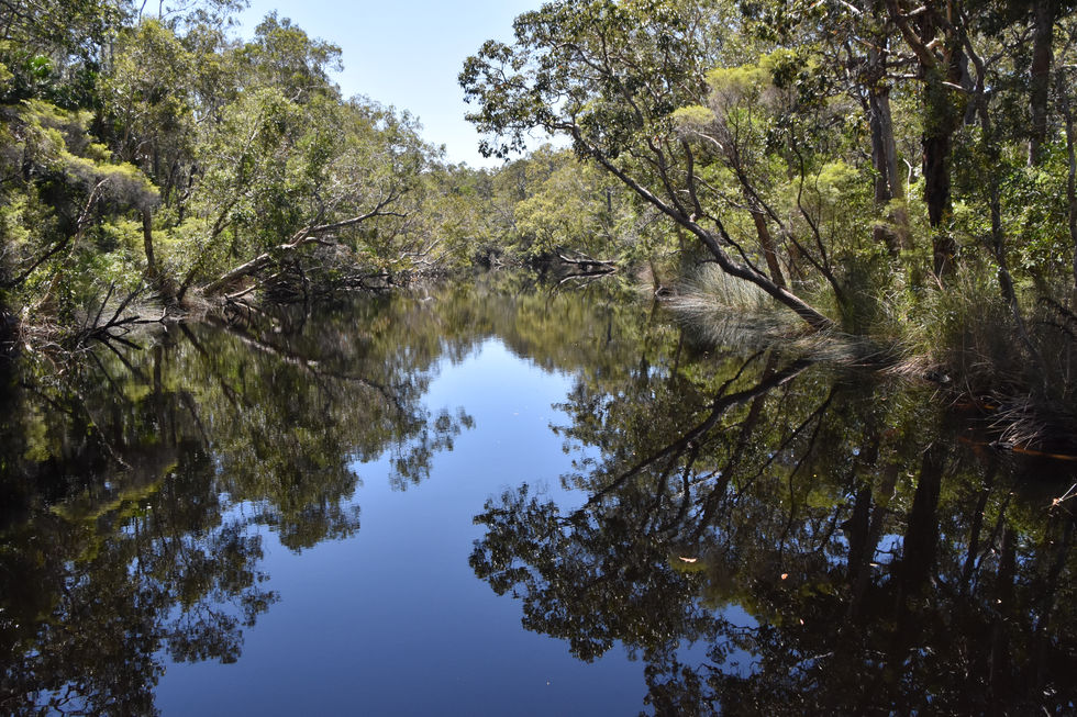 100th Blog: Row, Row, Row Your Boat…