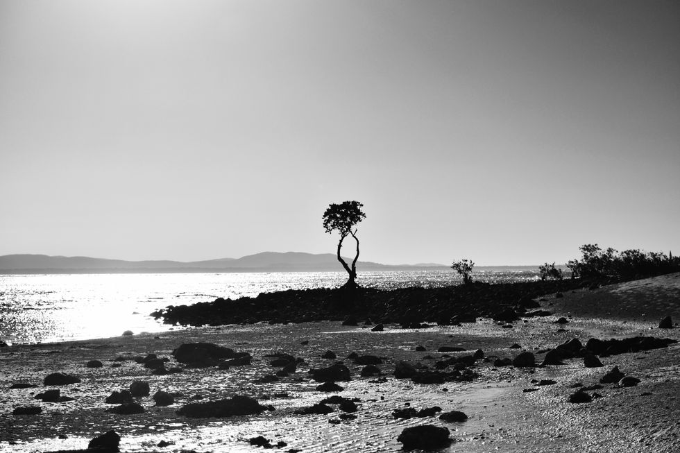 The Bloodbath of 1770