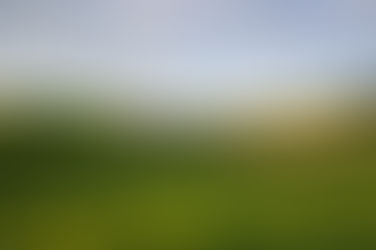 WWOOFIN All Over The World, Ruby, Victoria, Australia