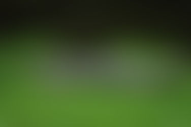 Maroochydore, The Sunshine Coast, Queensland, Australia 