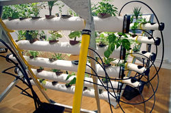 genAIRator (Rutgers Newark Version)