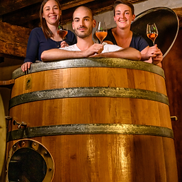 Champagne De Sousa