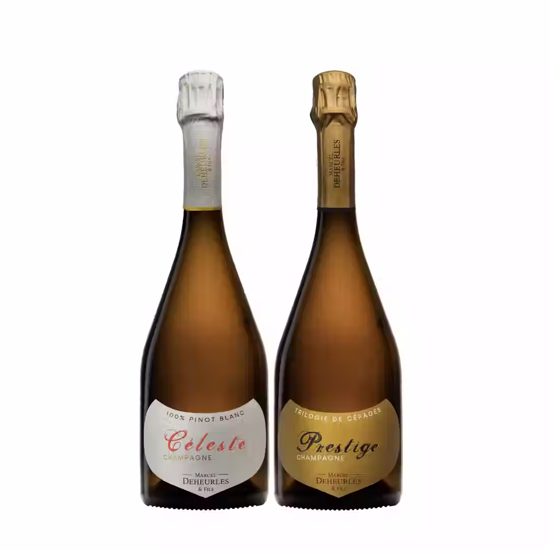 Discover Côte des Bar Champagne