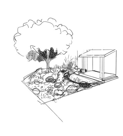 Hand-drawn garden layout sketch illustrating early ideas for a small, functional backyard design.