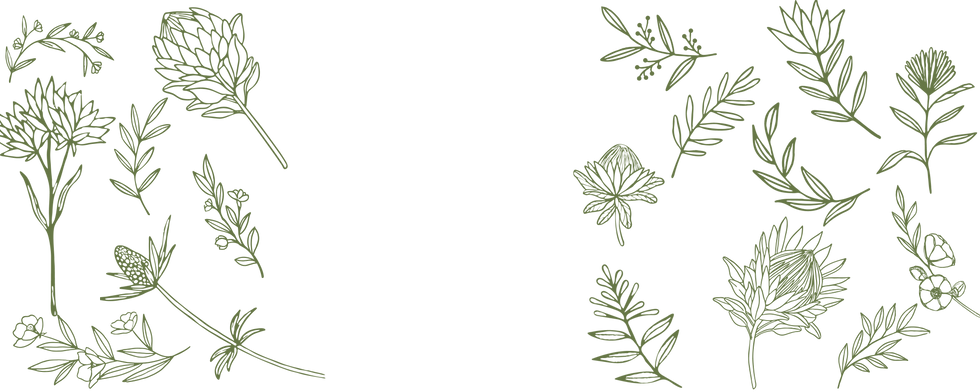 Olive background.png