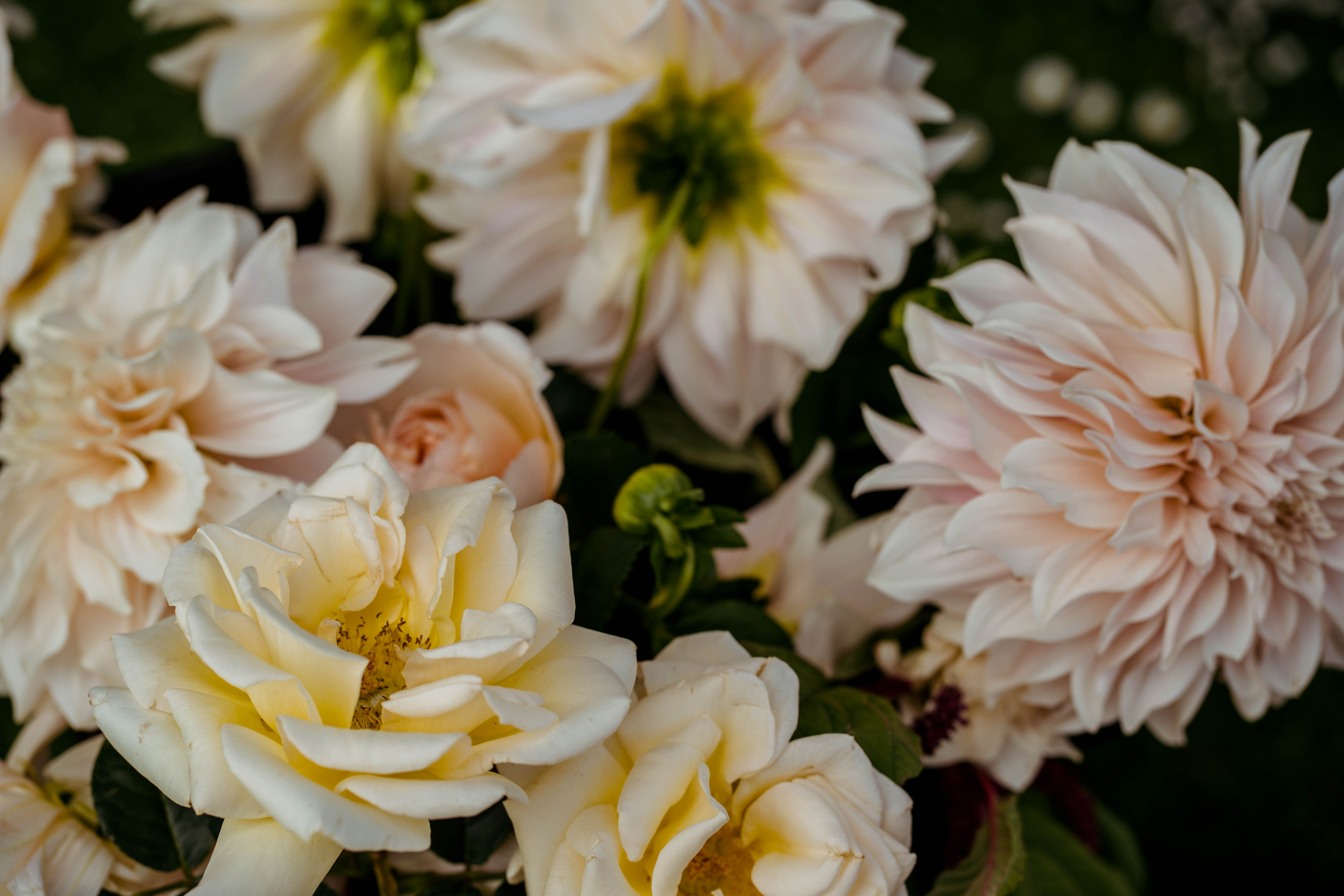 The Bloomery — photo 11 of 12