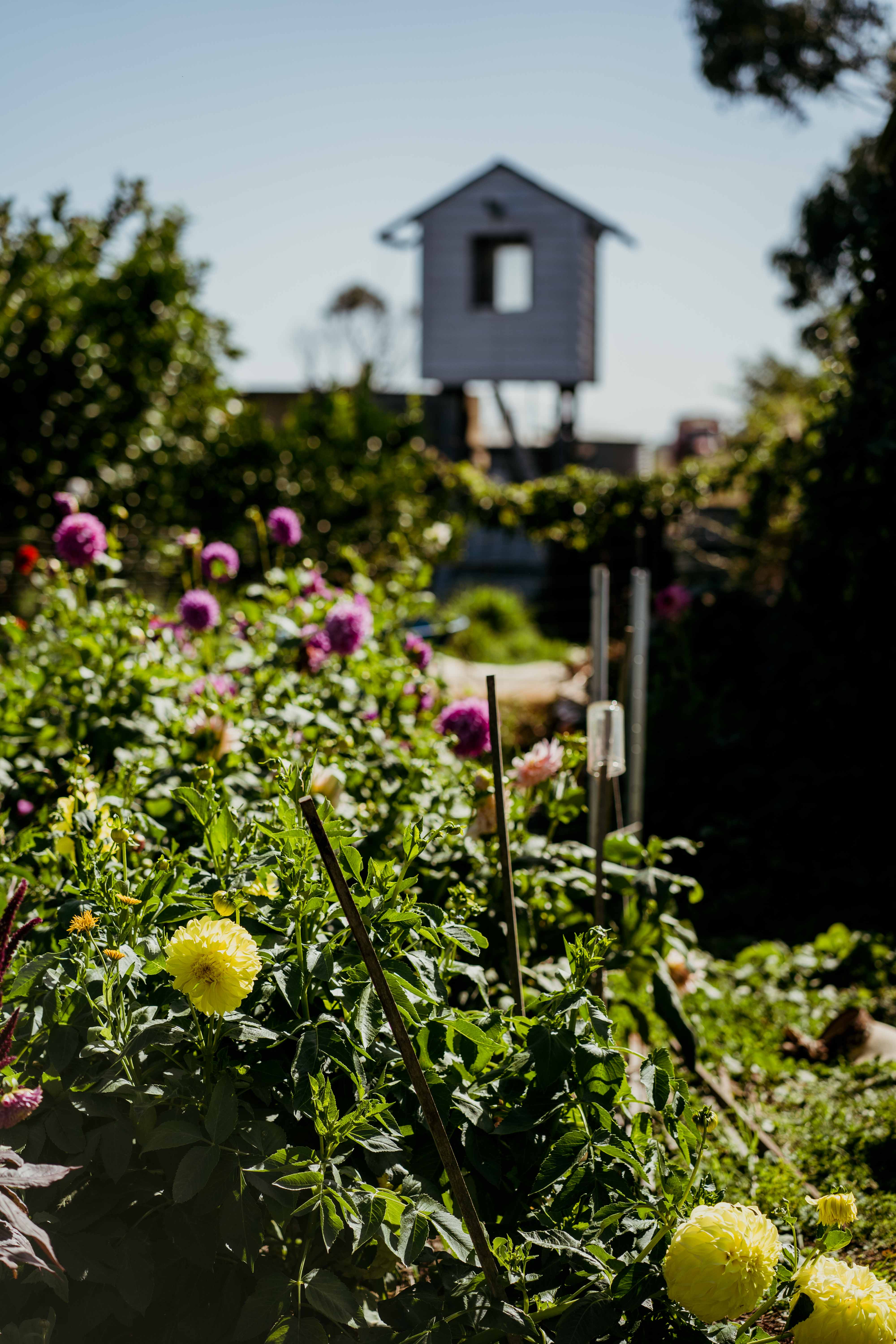 The Bloomery — photo 3 of 12