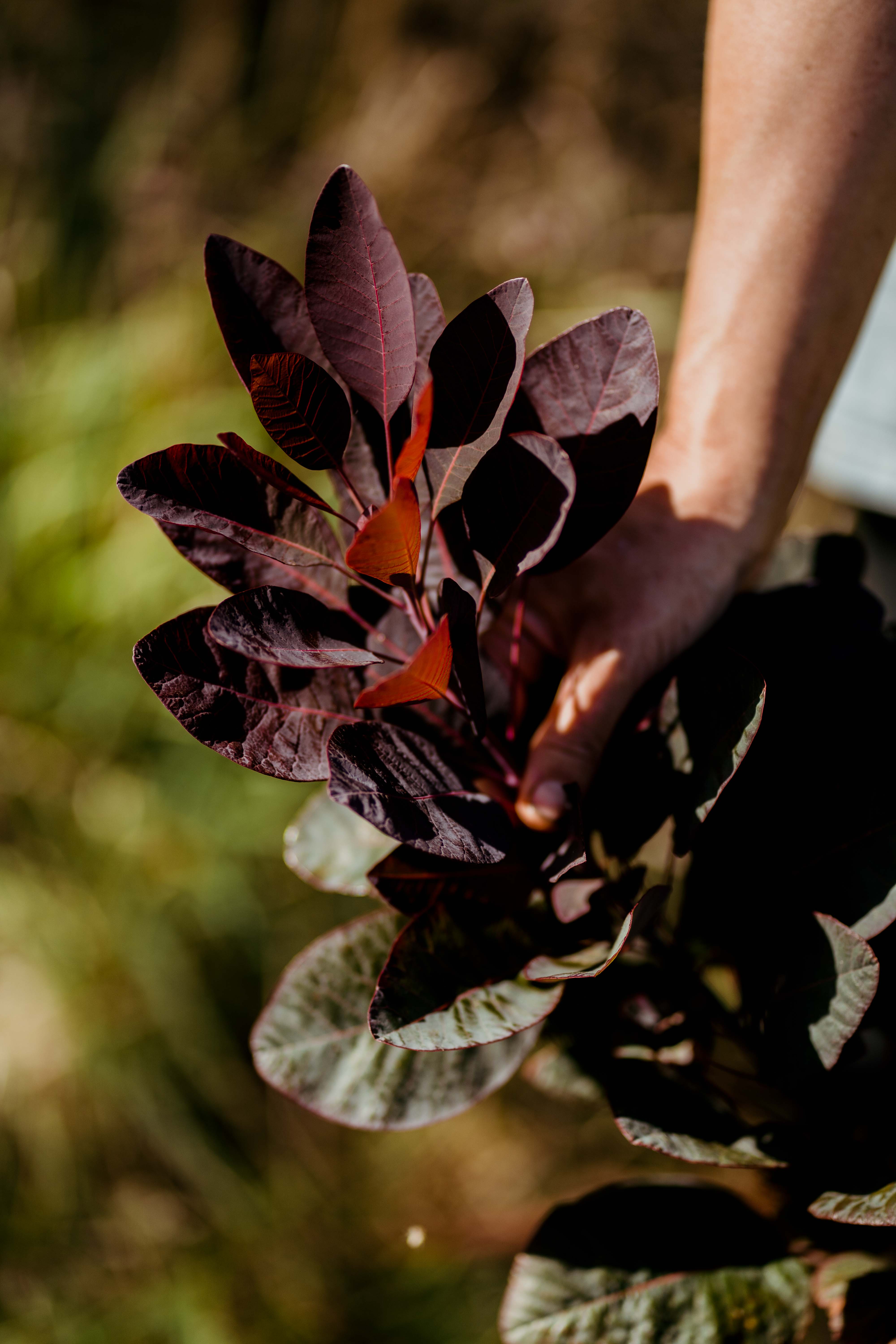 The Bloomery — photo 9 of 12