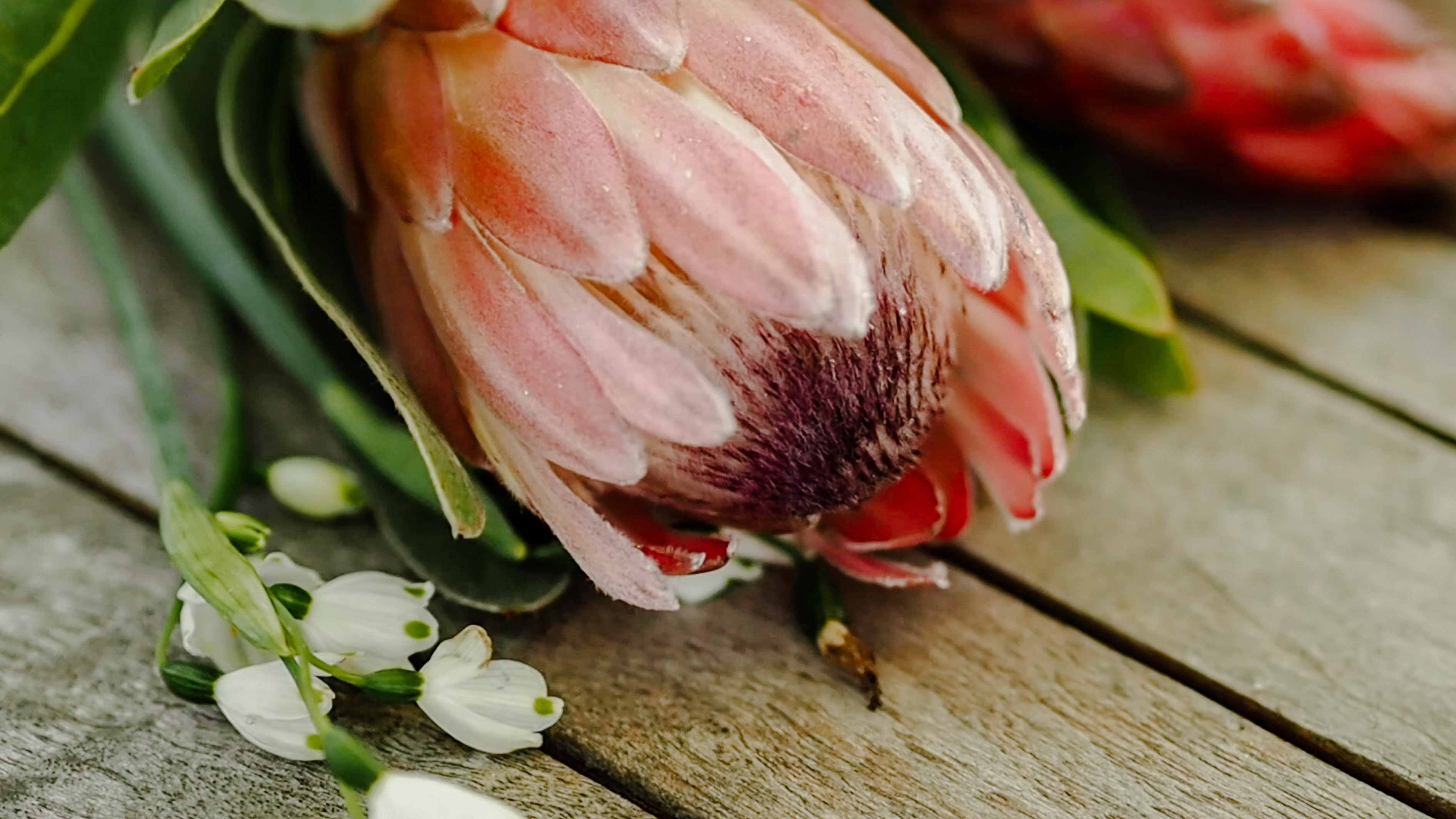 The Bloomery — photo 8 of 12