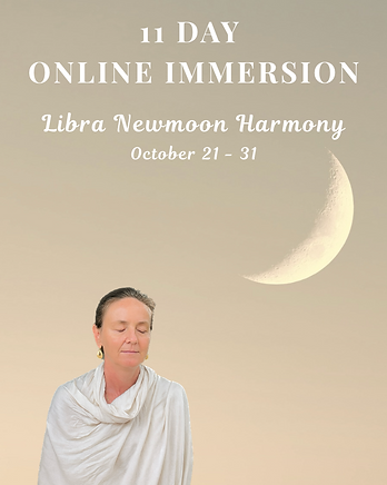 Screenshot 2025-09-21 at 13.55.30.png