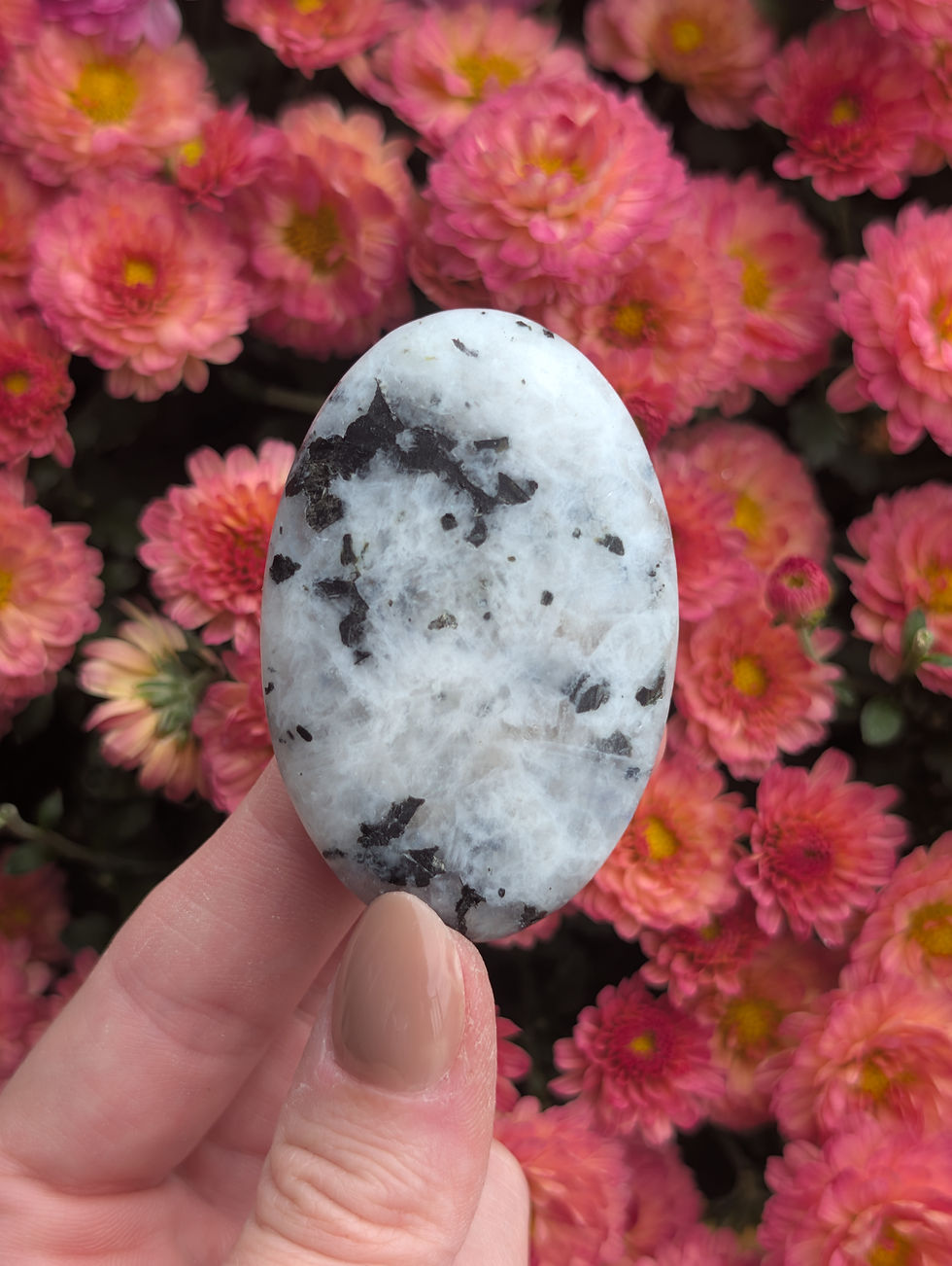 Thumbnail: Rainbow Moonstone Palmstone