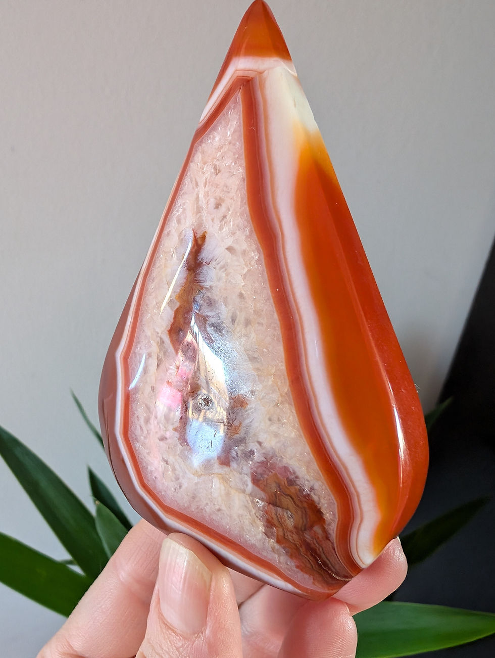 Thumbnail: Carnelian Freeform Teardrop