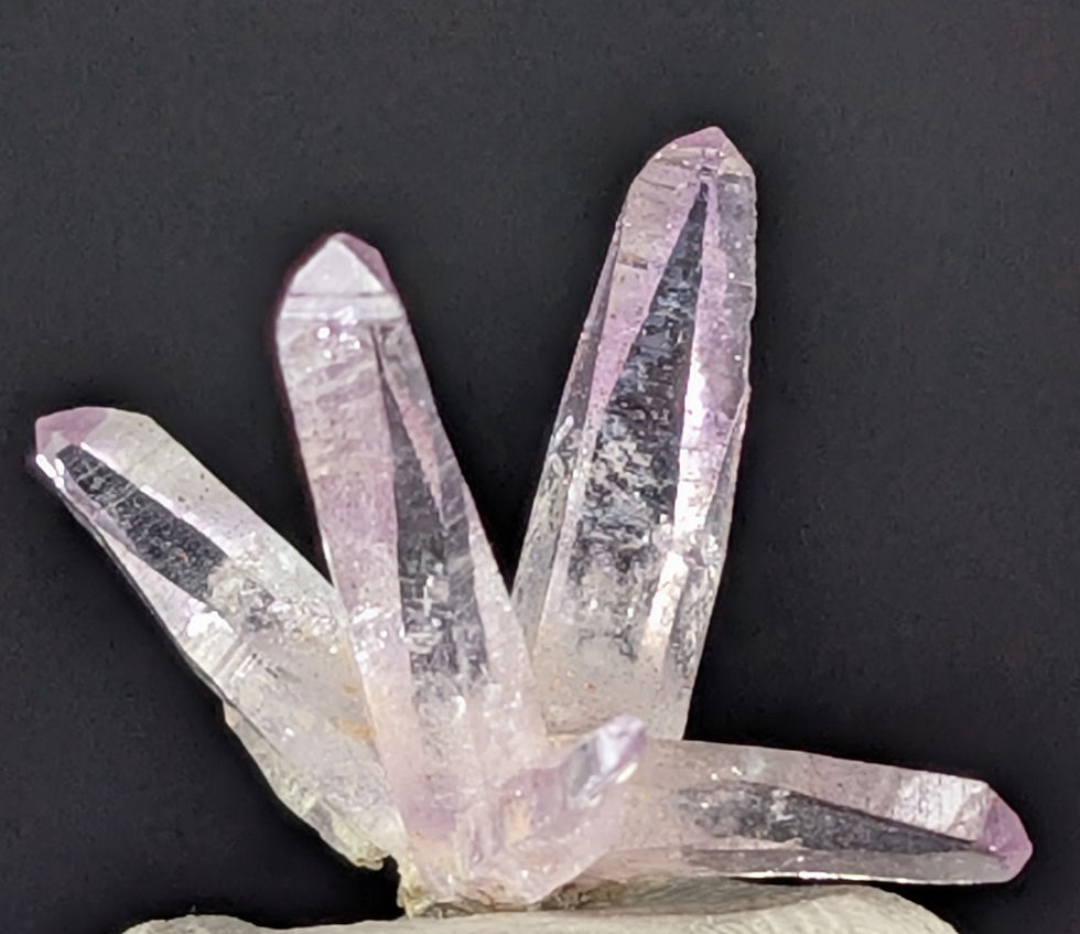 Thumbnail: Vera Cruz Amethyst Cluster