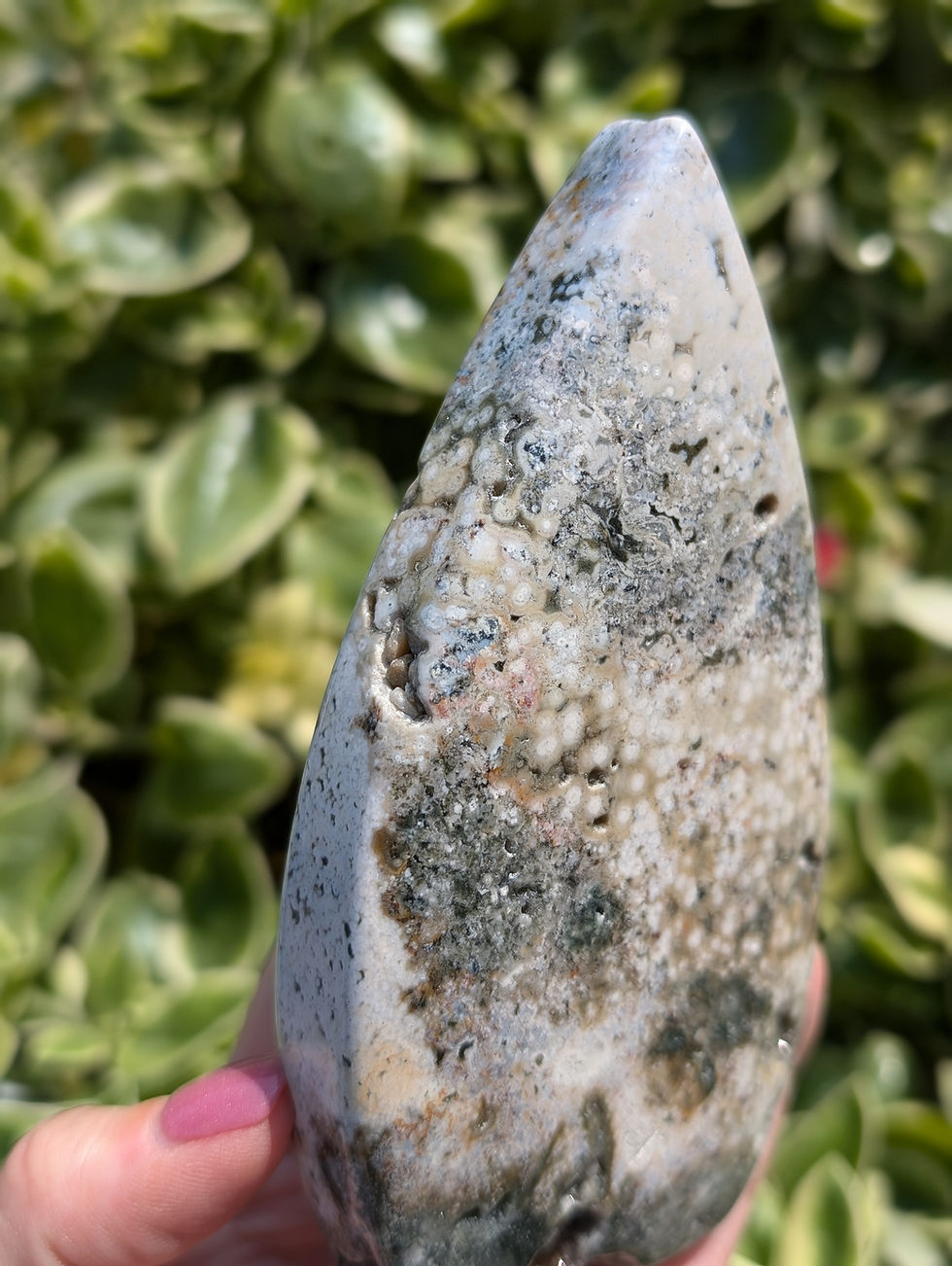 Thumbnail: Ocean Jasper Freeform Teardrop