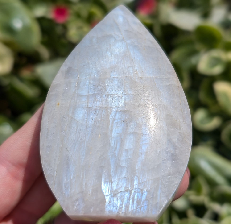 White Moonstone Freeform Teardrop