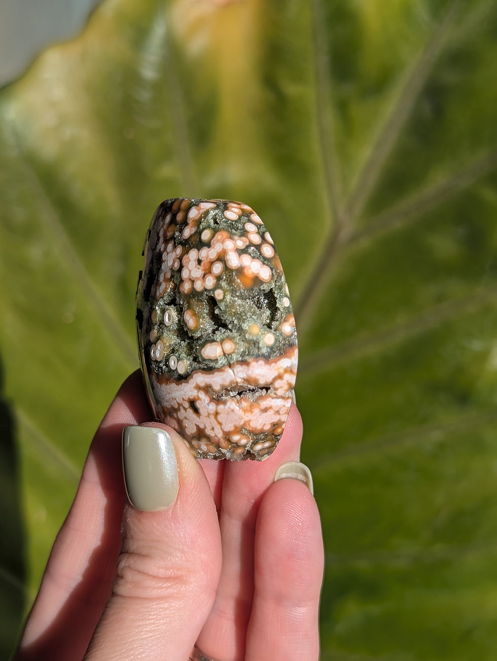Thumbnail: Ocean Jasper Palmstone