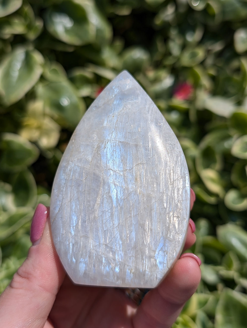 Thumbnail: White Moonstone Freeform Teardrop