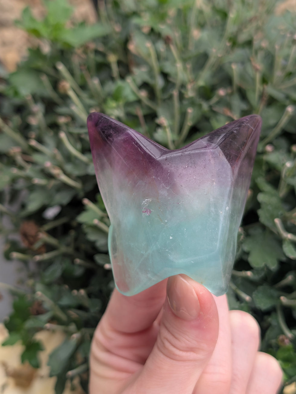Thumbnail: Fluorite Butterfly Carving