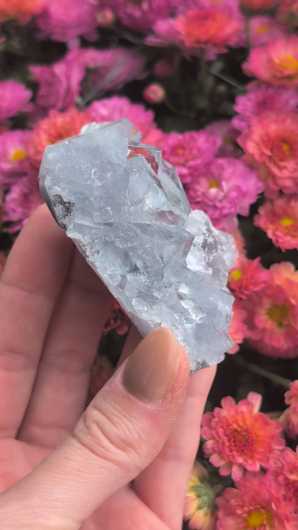 Thumbnail: Green Smokey Fluorite Cluster